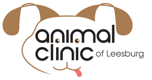 Animal Clinic of Leesburg